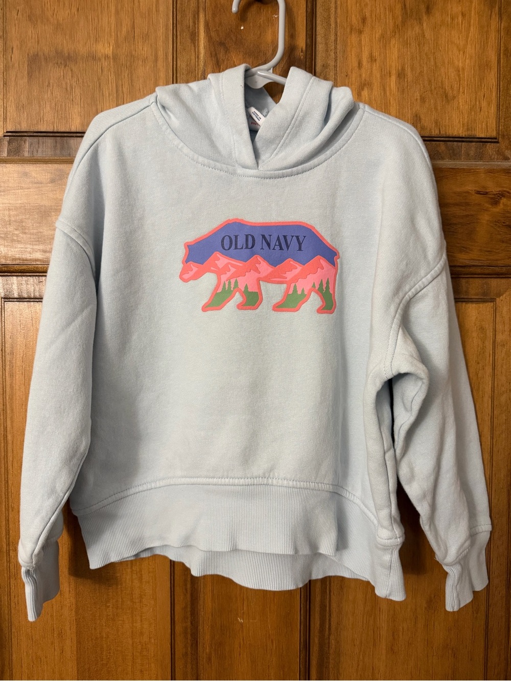 Old Navy Light Blue Hoodie with Pink & Green Bear Graphic